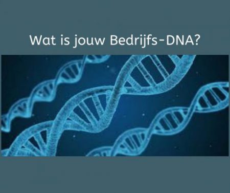 Ons bedrijfs-DNA? Dat moet A-positief zijn! En hoe ontwikkel je dat?