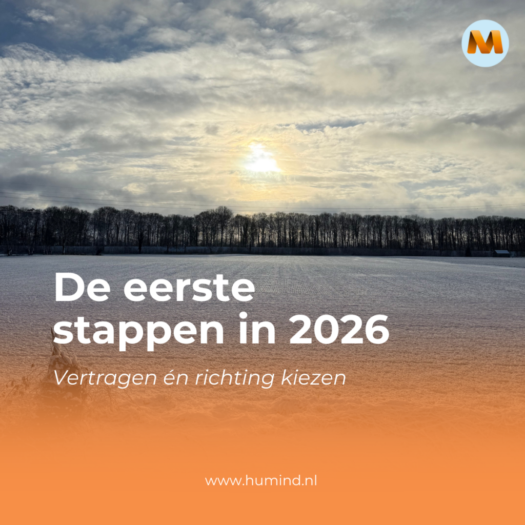 De eerste stappen in 2026
