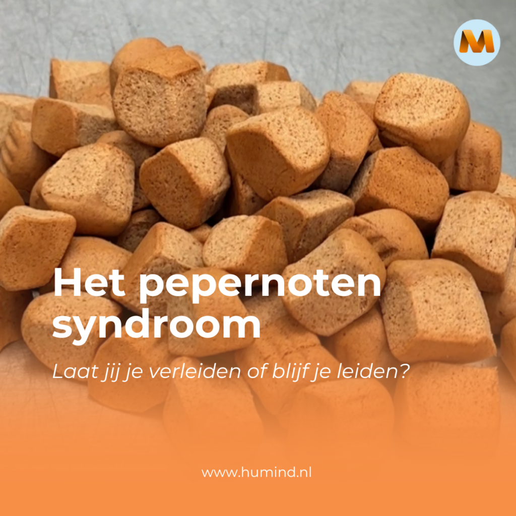 Het Pepernotensyndroom: ‘verleiding of leiderschap?’