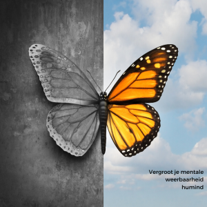 Alles wat je wilt weten over Mentale Weerbaarheid